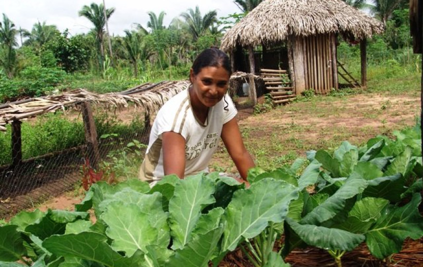 Programa beneficia 80 mil famílias