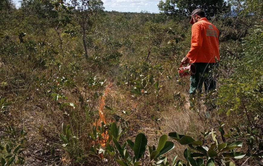 Brigadista do Naturatins realiza queima controlada na região do Jalapão.