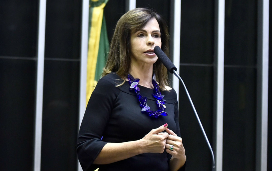 Deputada Federal Professora Dorinha (DEM/TO).