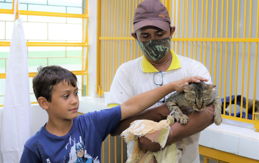 O serviço é oferecido àqueles proprietários considerados de de baixa renda.