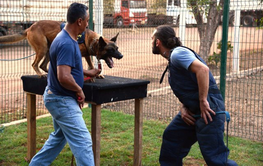 Agentes fazem treinamento