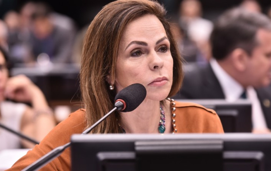 Deputada Federal, Professora Dorinha. 