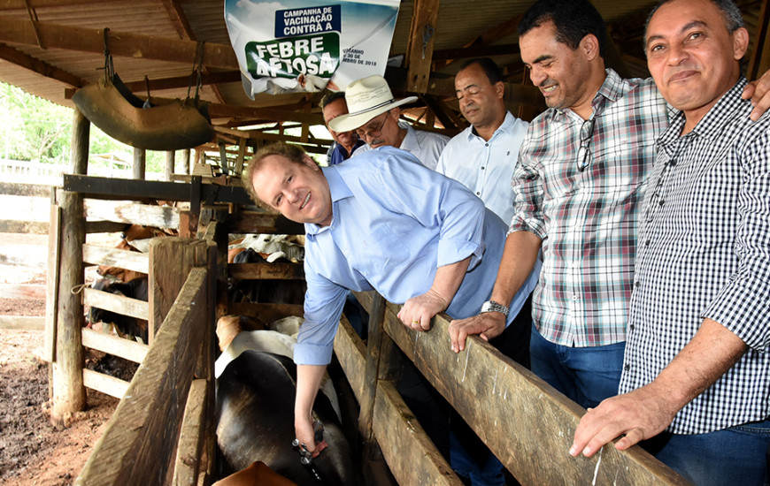 Governador vacina gado em campanha contra a febre aftosa