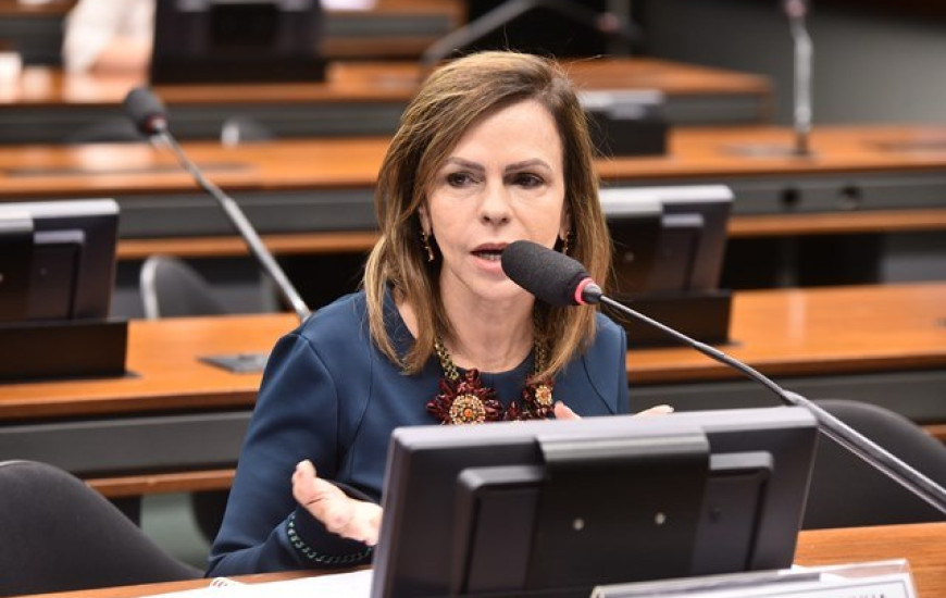 Dorinha requer presença de relator da Reforma Tributária em comissão