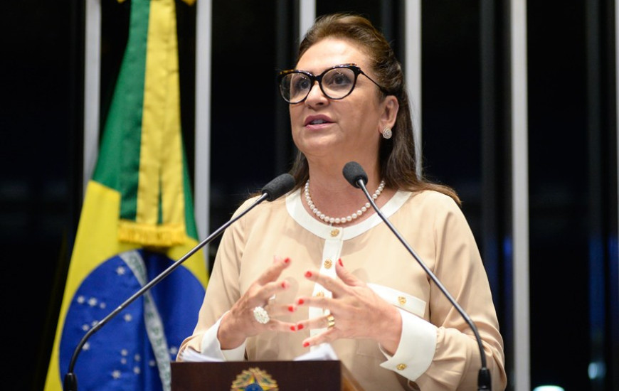 Senadora Kátia Abreu (PP)