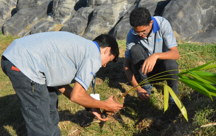 Estudantes de Araguaína fazem o plantio de árvores na cidade
