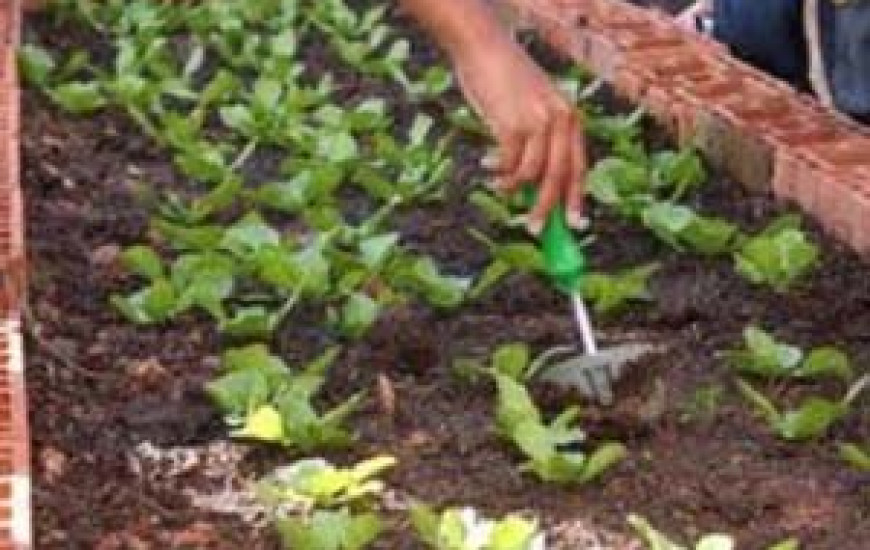 Curso de Agroecologia é oferecido