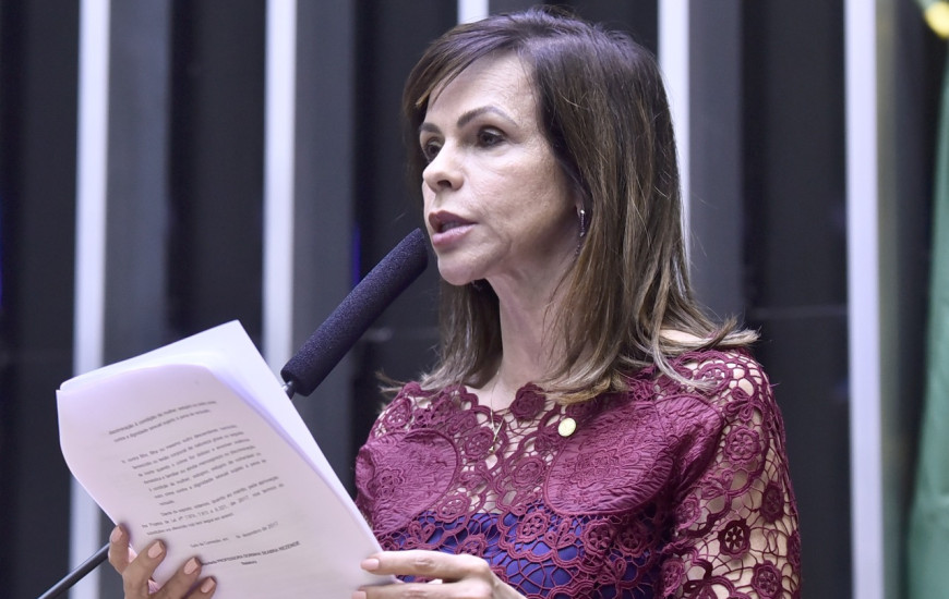 Dorinha foi a relatora do projeto de lei