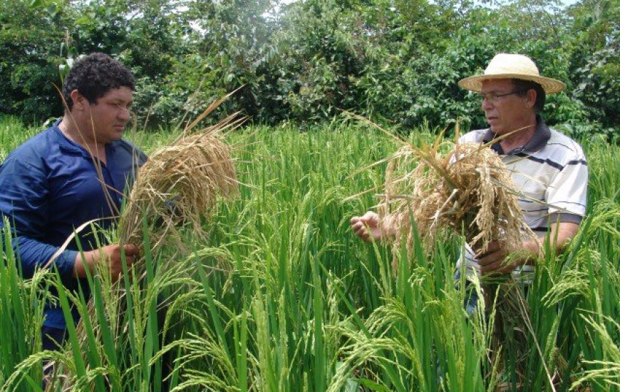 Agricultor familiar recebe incentivo