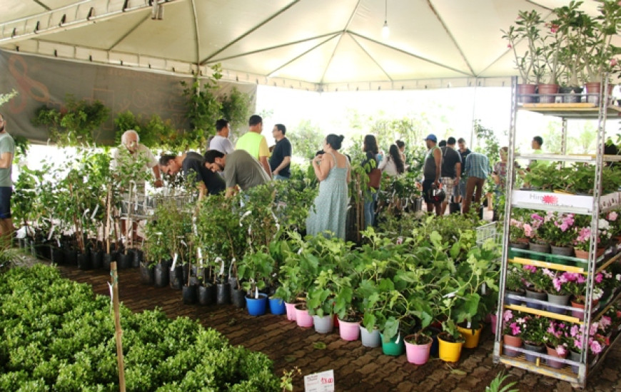 A feira ficará aberta no horário das 9 às 20 horas.