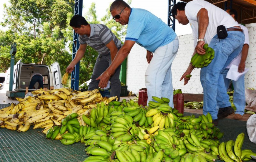 Produtores rurais devem ficar atentos aos prazos