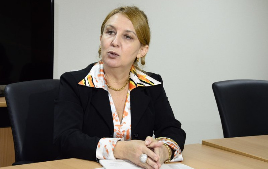 Promotora de Justiça, Maria Roseli