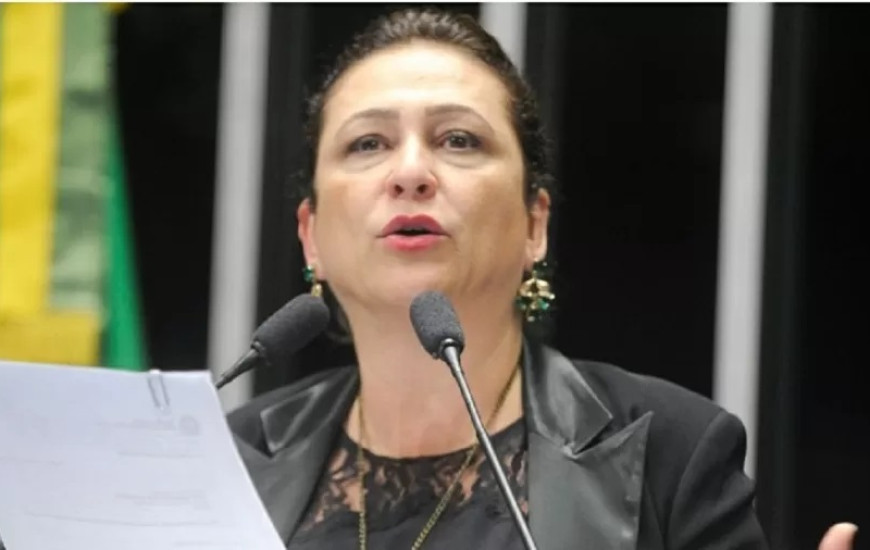 Senadora Kátia Abreu (PP-TO).