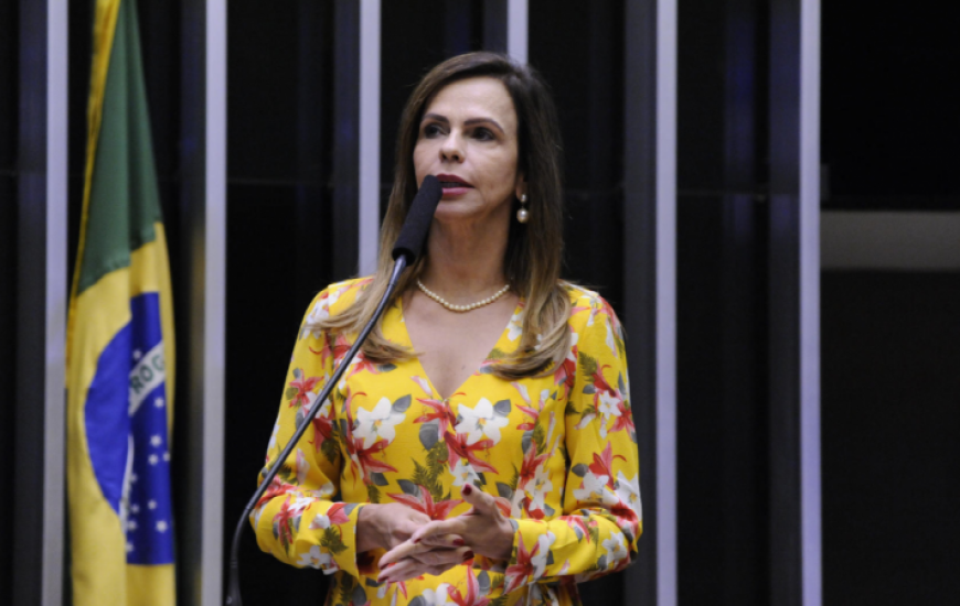 Deputada federal Professora Dorinha (DEM/TO).