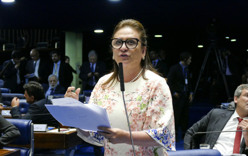 Senadora aponta que Rio TO não tem vazão suficiente para suportar transição