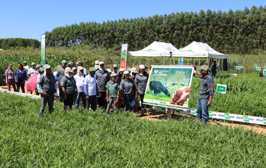 Alunos do ABC Cerrado de Palmas visitam Agrotins