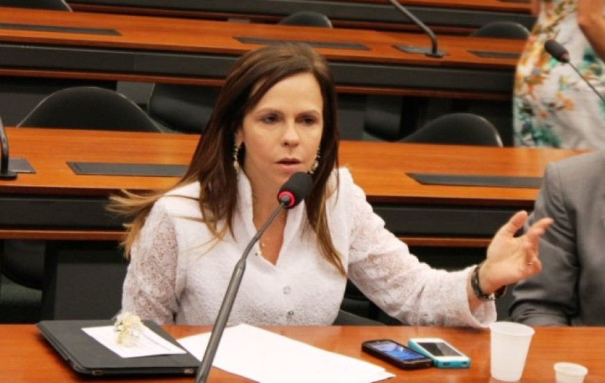 Professora Dorinha quer mudança no Ensino Médio