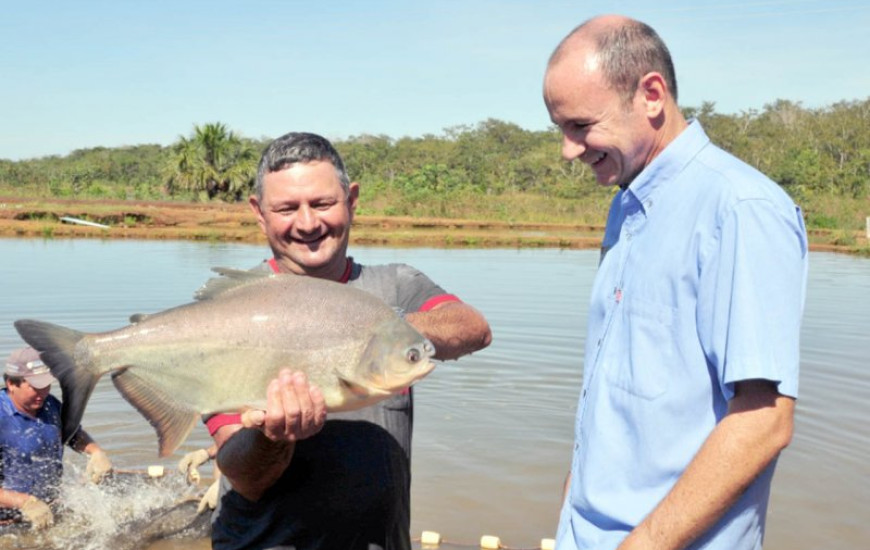 O setor gerou cerca de 2.500 empregos diretos