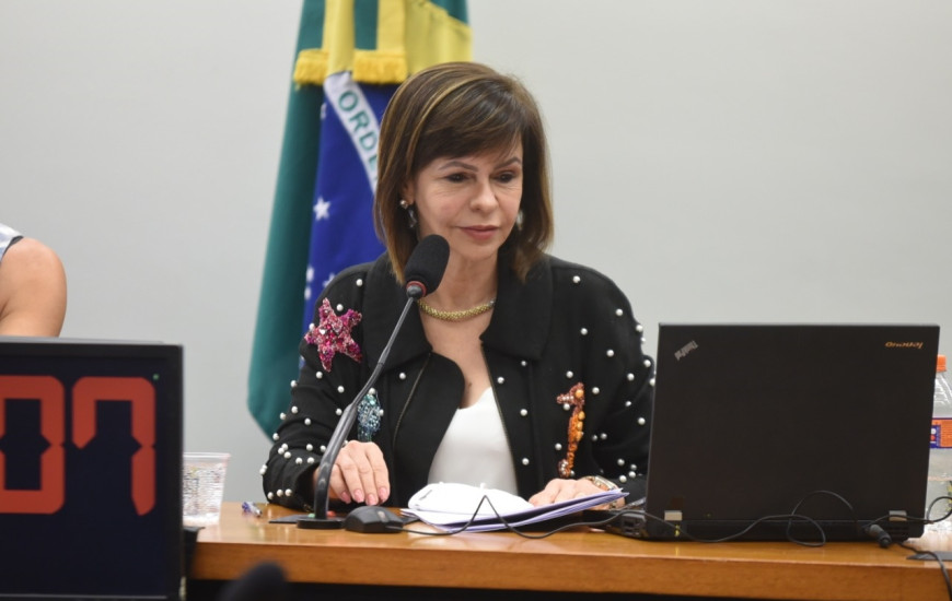 Deputada federal Professora Dorinha (DEM/TO)