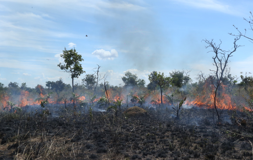 A criação de Brigadas contra incêndio florestal, é uma das ações previstas 