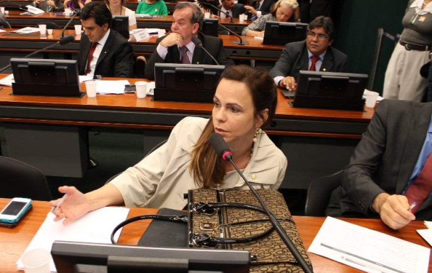 Deputada Dorinha Seabra (Democratas)