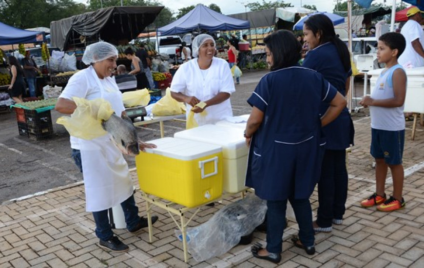 Pescado fresco é vendido nas feiras de Palmas