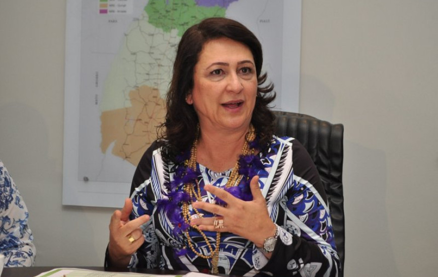 Kátia Abreu concorre à presidência da CNA