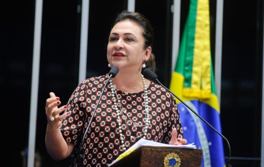 Senadora Kátia Abreu