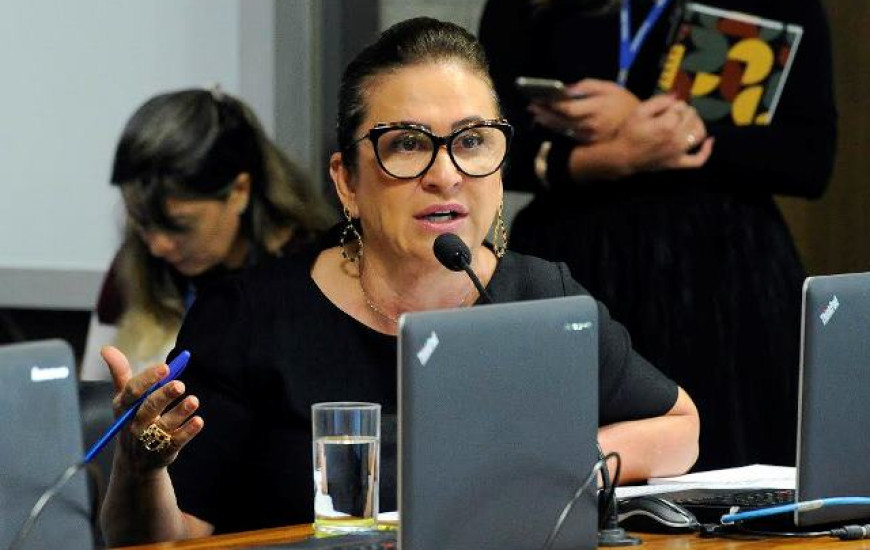 Senadora Kátia promove audiências para discutir assunto em Brasília e Palmas