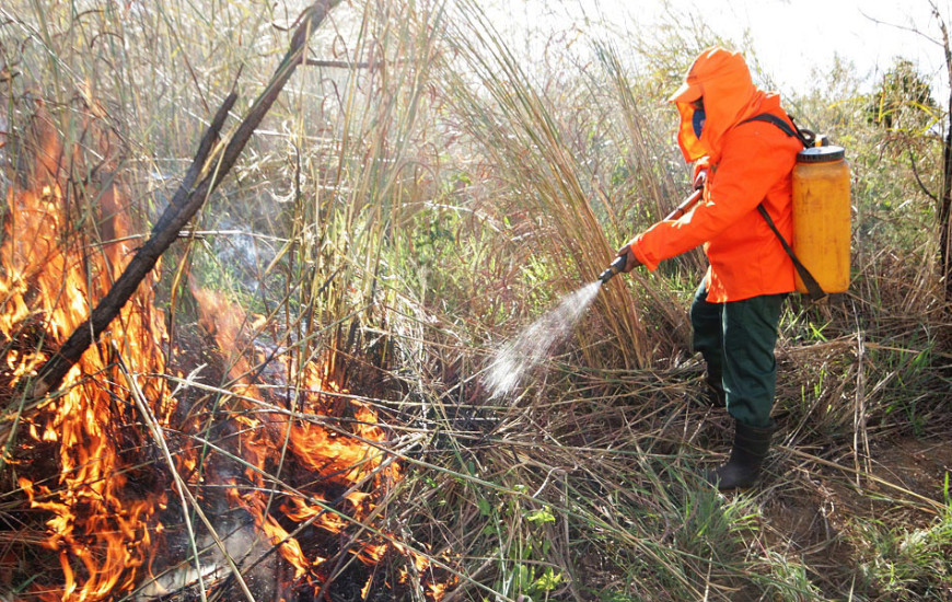 Estado e Forças Armadas agora vão atuar em conjunto no combate a incêndios.