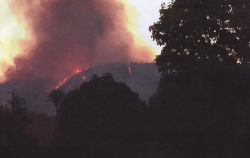 Incêndio ocorreu em setembro de 2015