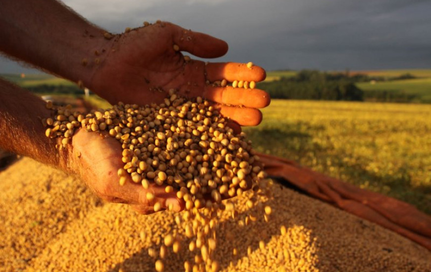 Alunos participam de curso técnico em agronegócio