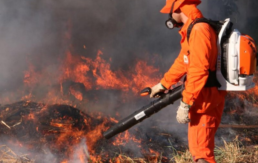 Brigadistas atuarão em 9 cidades do Estado