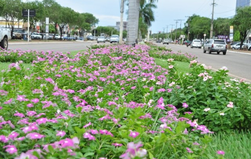 Flores e mudas podem custar R$ 1,2 mi a Prefeitura