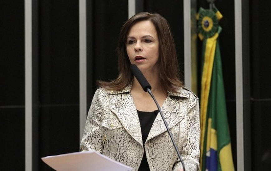 Dep. Professora Dorinha é líder da Bancada Feminina na Câmara Federal.