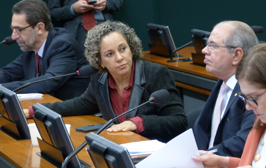 Relatora do proejto, Josi Nunes contou com apoio de parlamentares tocantinenses