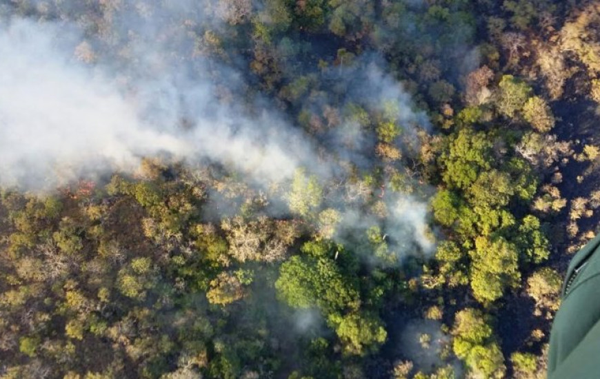 Fogo começou na última quarta, 3