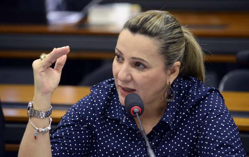 Deputada federal Dulce Miranda. 