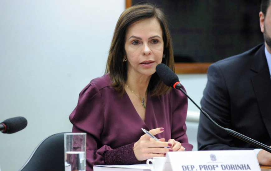 Deputada Federal Professora Dorinha Seabra (DEM-TO)