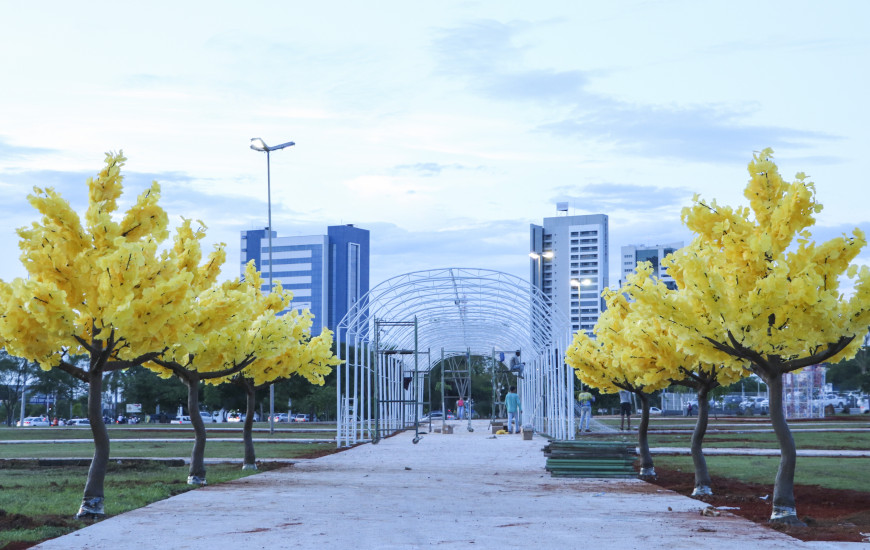 Decoração estará disponível para visitação a partir de segunda-feira, 06
