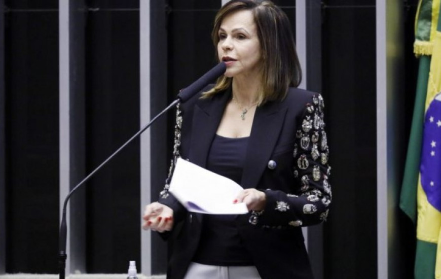 Deputada federal Professora Dorinha (DEM/TO).