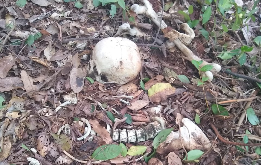 Ossada humana encontrada 