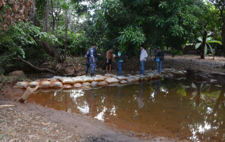 GMP flagra crime ambiental em Palmas