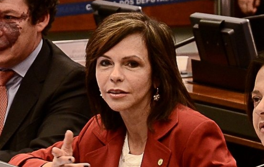 Dorinha vai se reunir com membros do Democratas