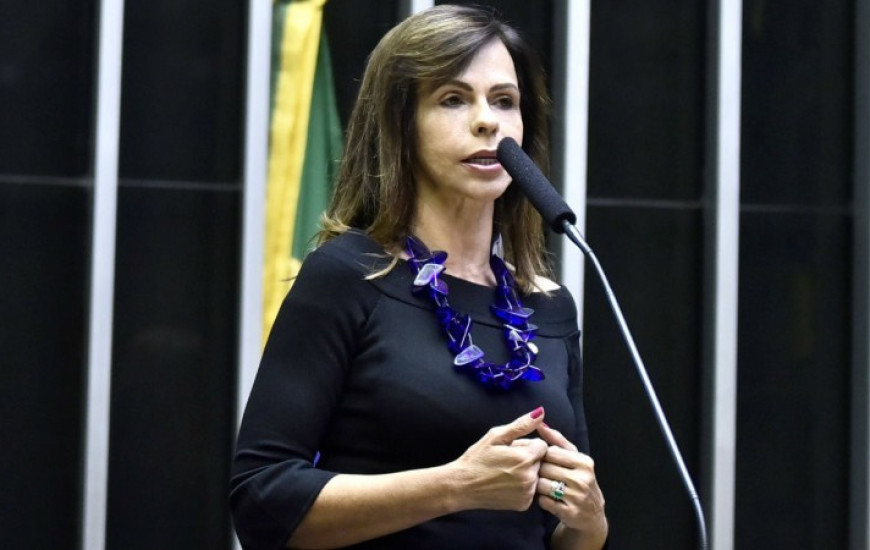 Deputada federal Professora Dorinha Seabra (DEM-TO).