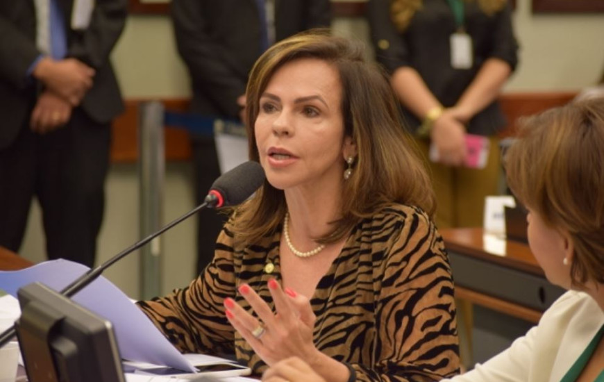 Deputada federal Dorinha
