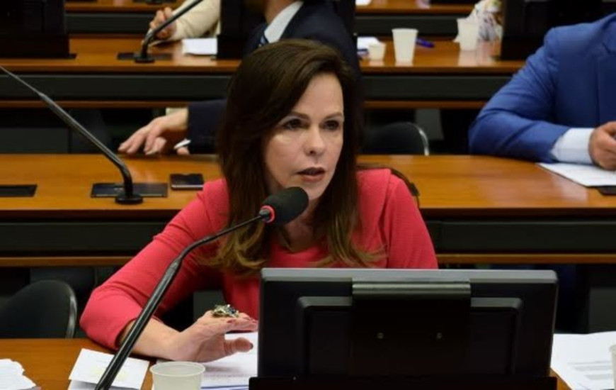 Deputada federal Professora Dorinha