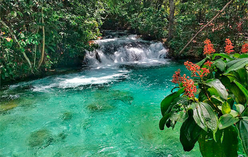 Cachoeira da formiga 