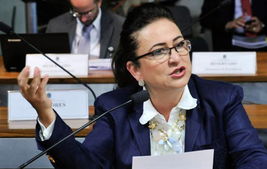 Senadora Kátia Abreu cumpre agenda no EUA