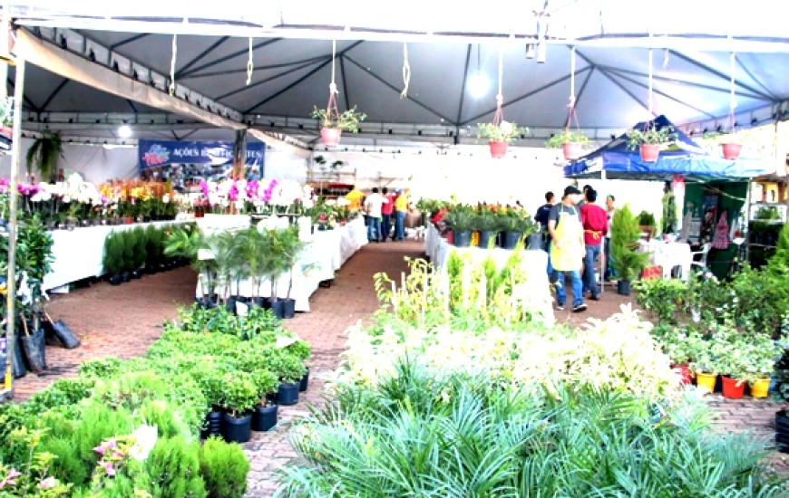 Variedades de flores e plantas são o diferencial da feira